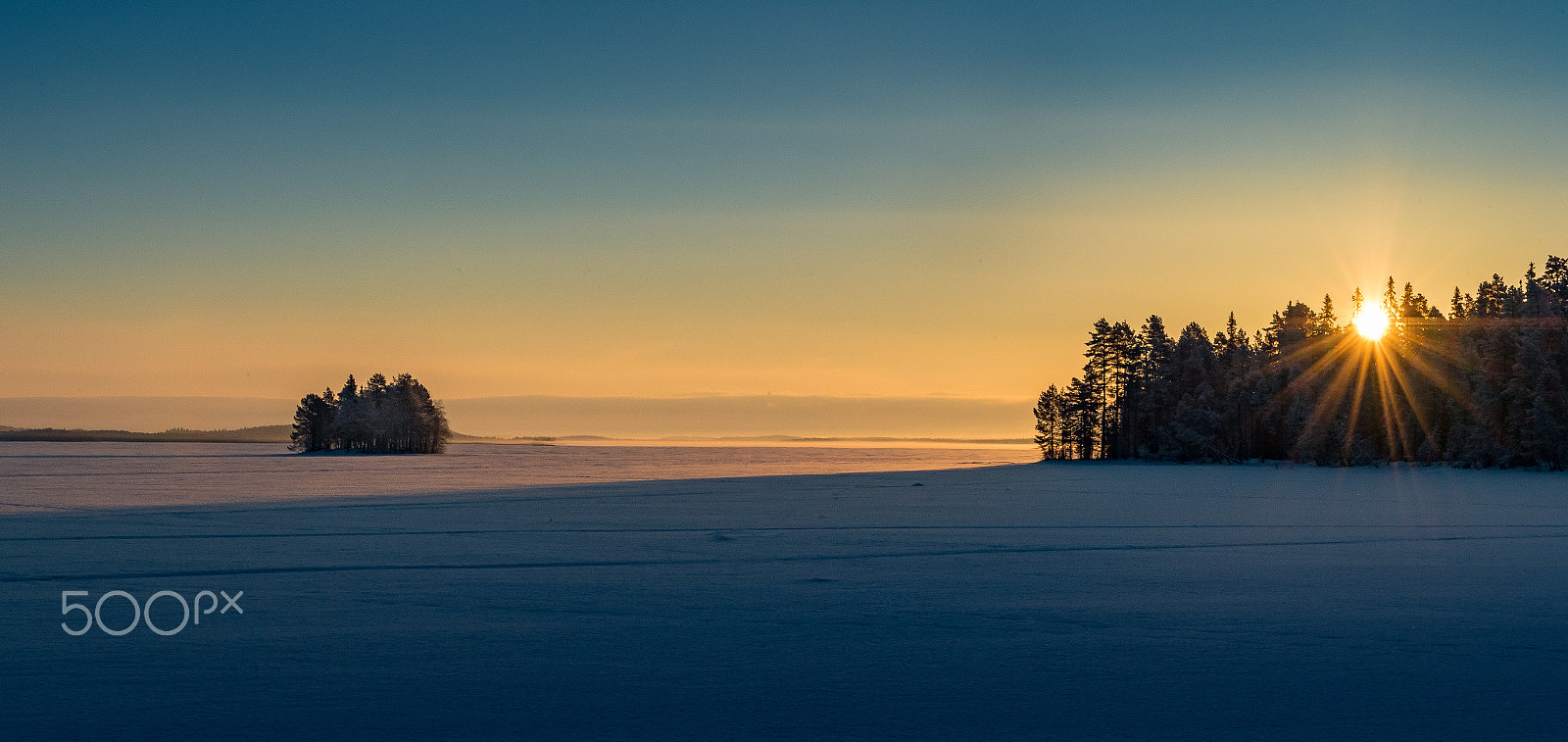 Nikon D5 sample photo. Cold morning light photography