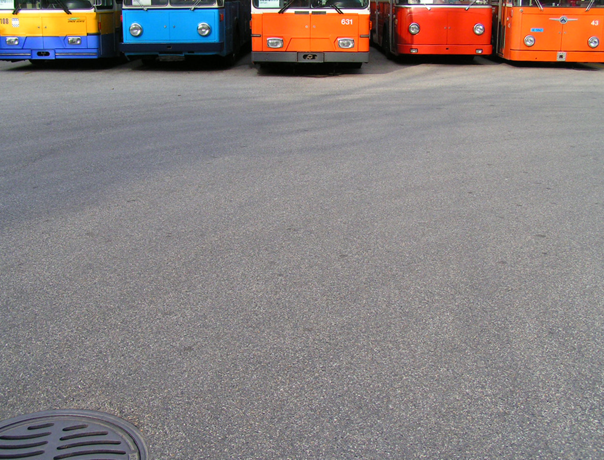 KONICA MINOLTA DiMAGE Z1 sample photo. Giving you the look photography