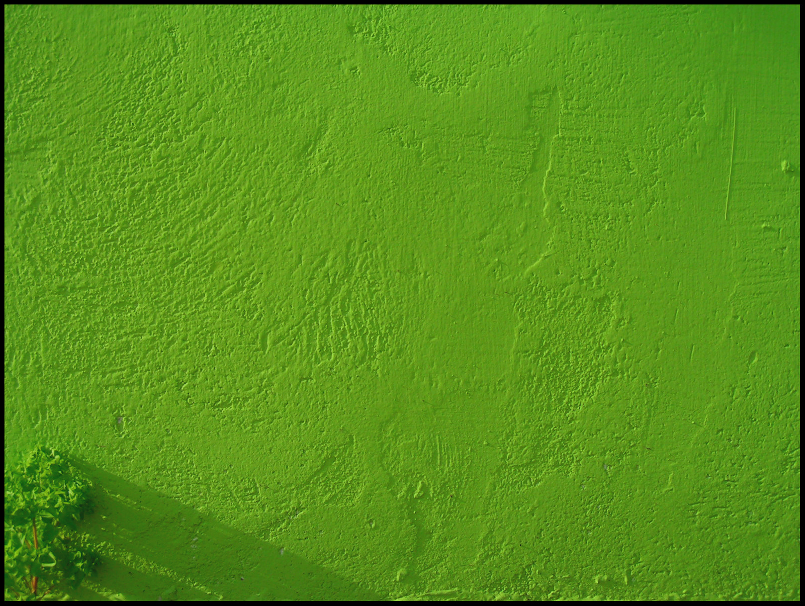 KONICA MINOLTA DiMAGE Z1 sample photo. This and that photography