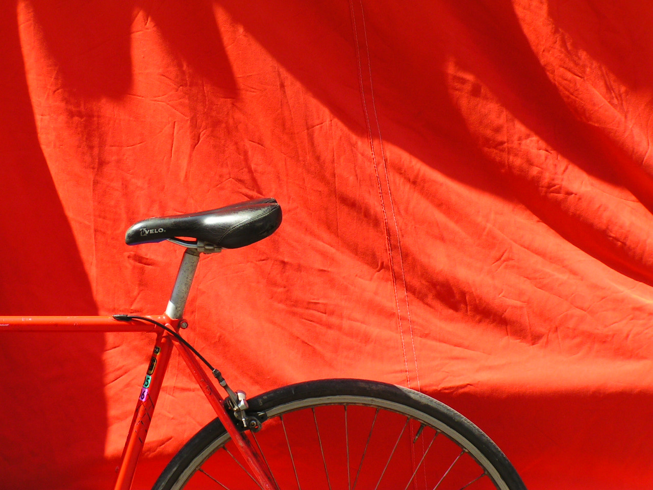 KONICA MINOLTA DiMAGE Z1 sample photo. Red bike photography