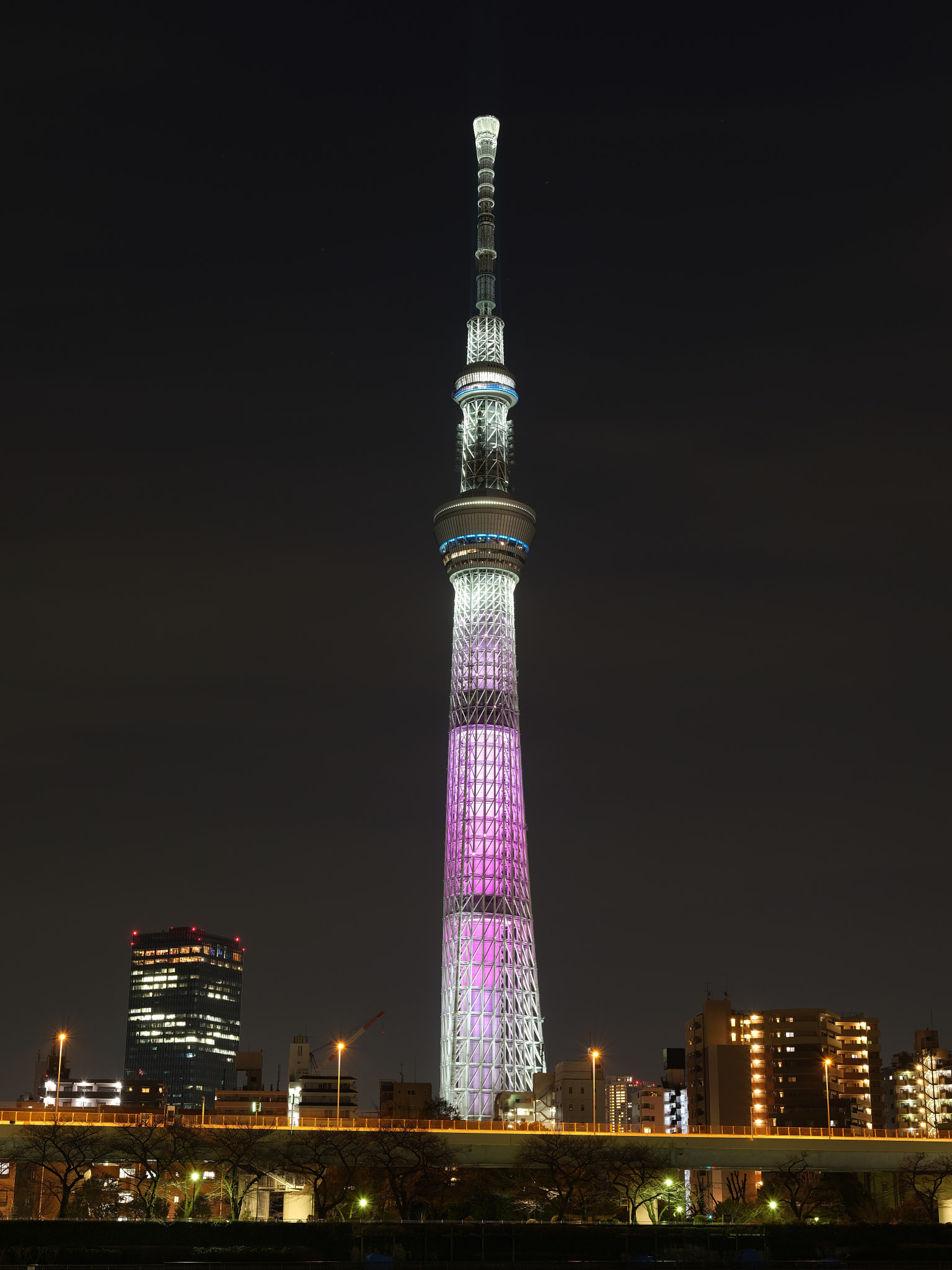 Fujifilm GFX 50S + Fujifilm GF 63mm F2.8 R WR sample photo. Tokyo sky tree : mai photography