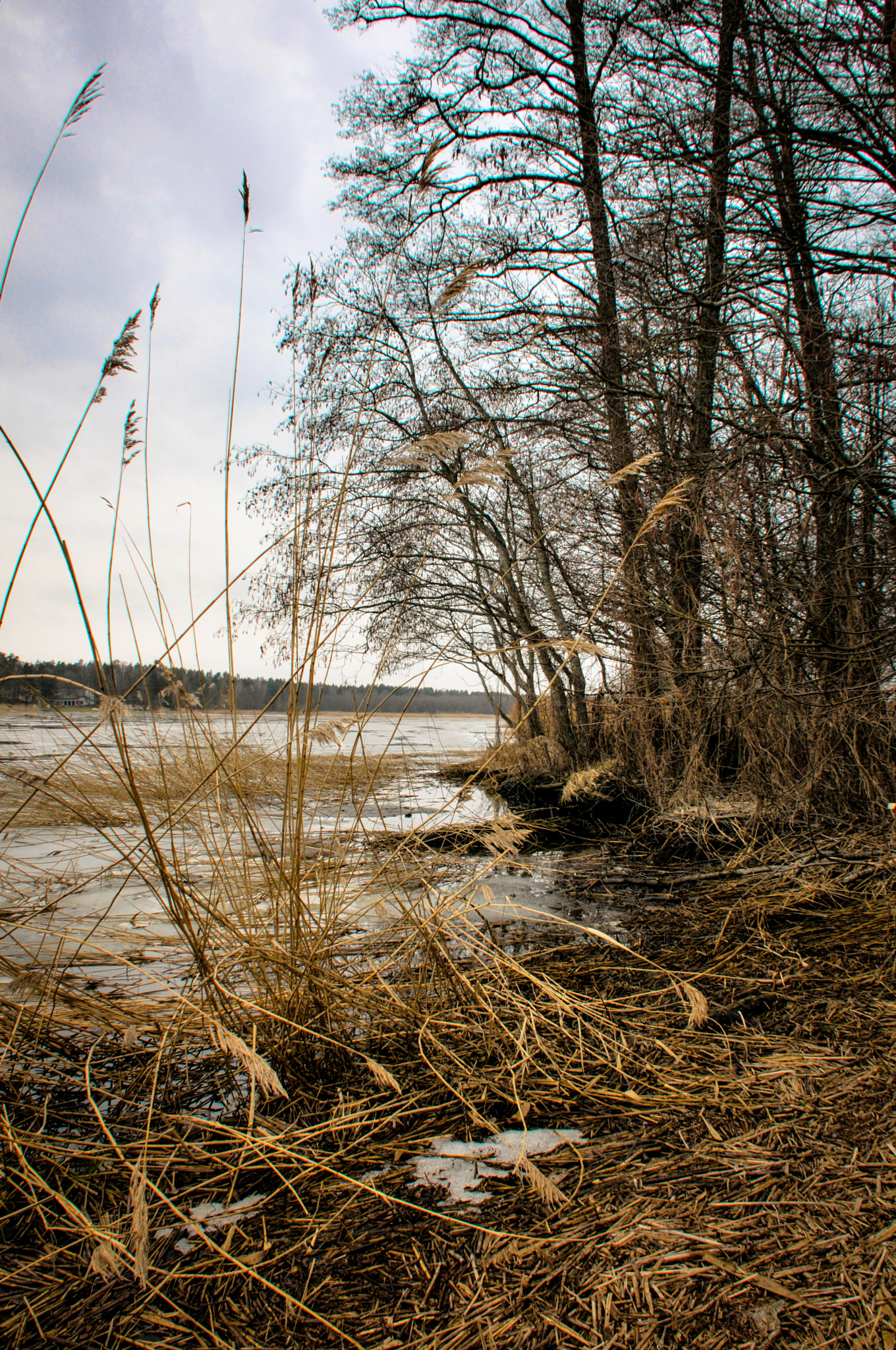 Nikon D300 sample photo. Spring at the river photography