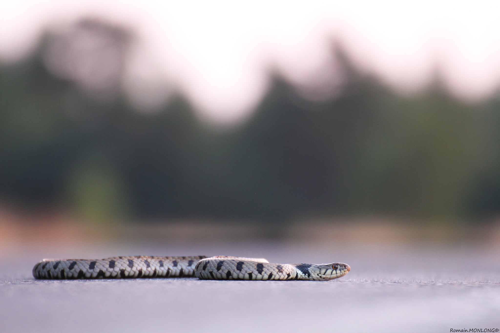 Tamron SP 35mm F1.8 Di VC USD sample photo. Attention sur la route ! photography