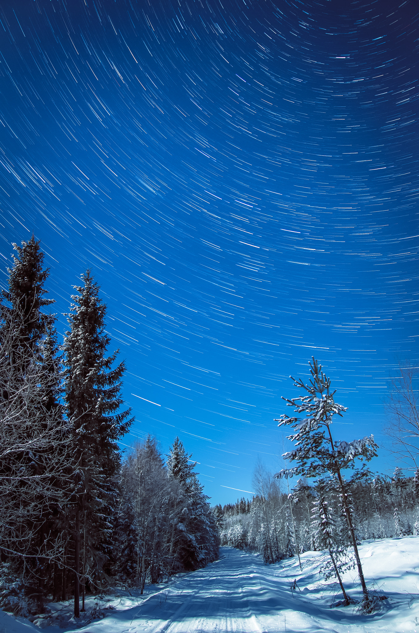 Pentax K-5 + Sigma sample photo. Moonlit sky covered with stars. photography