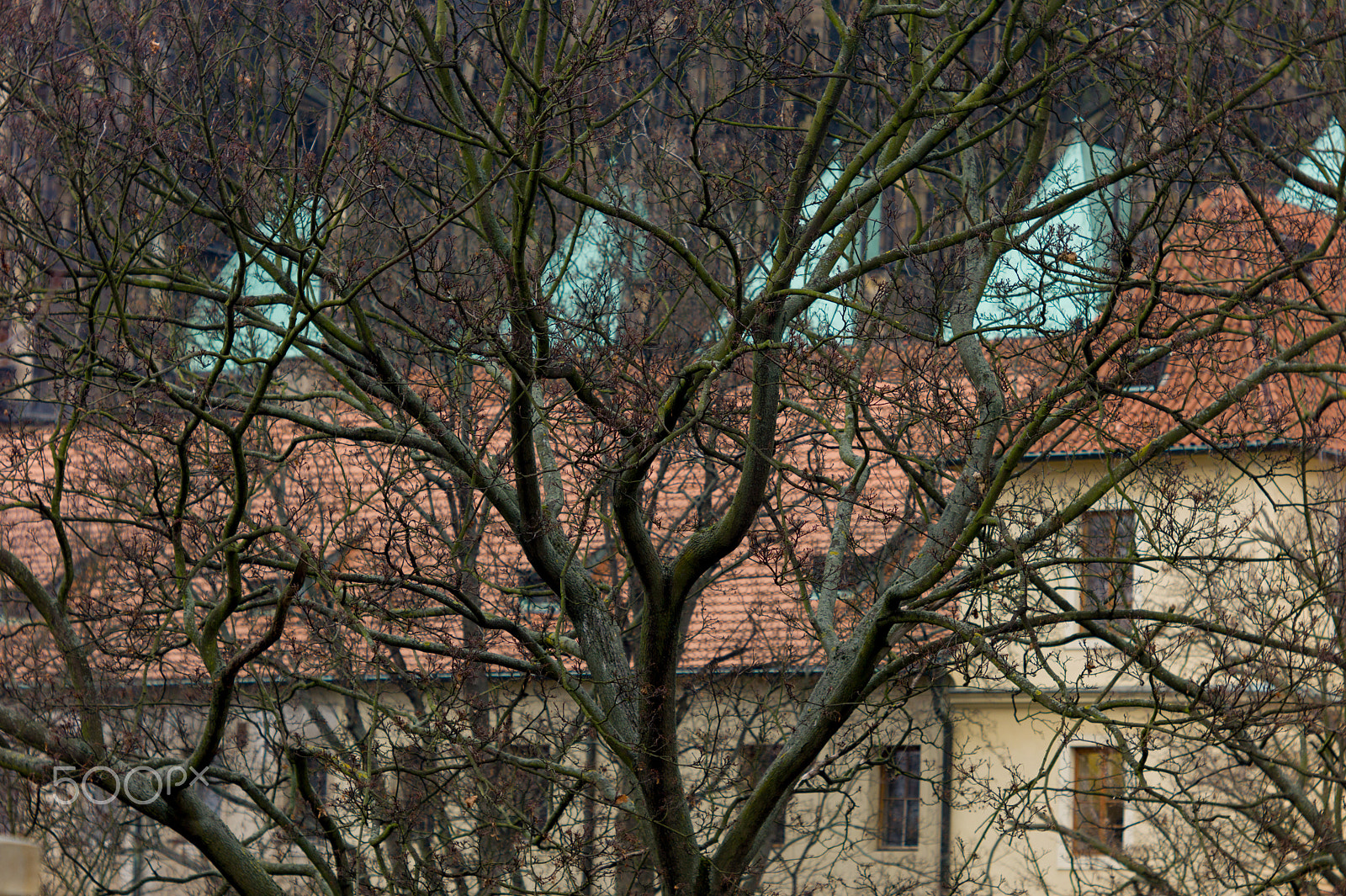 Tele-Elmar-M 135mm f/4 (II) sample photo. Strahov monastery photography