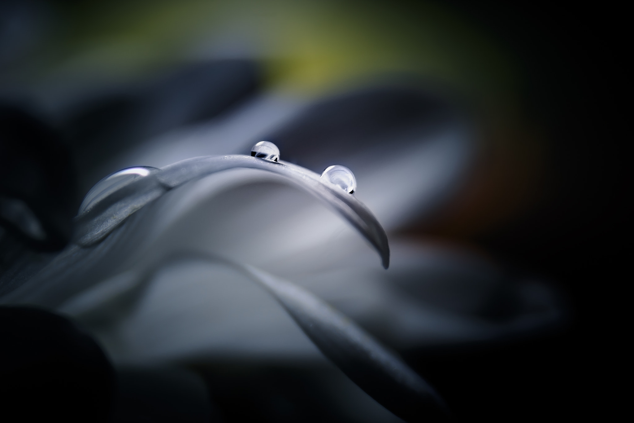 Canon EF 24-70mm F4L IS USM sample photo. ... photography