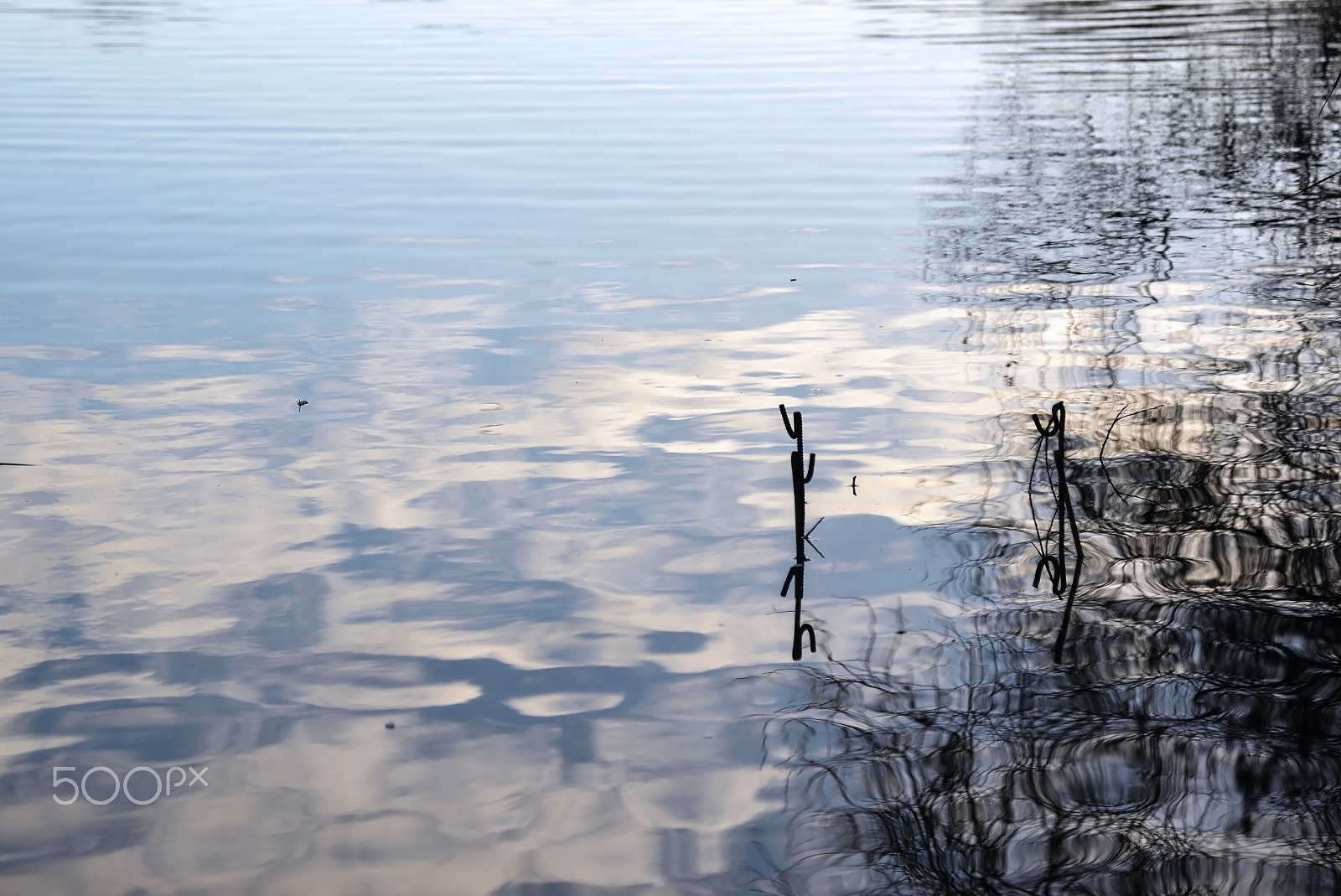 Nikon AF-S Nikkor 24-120mm F4G ED VR sample photo. Quietness... photography