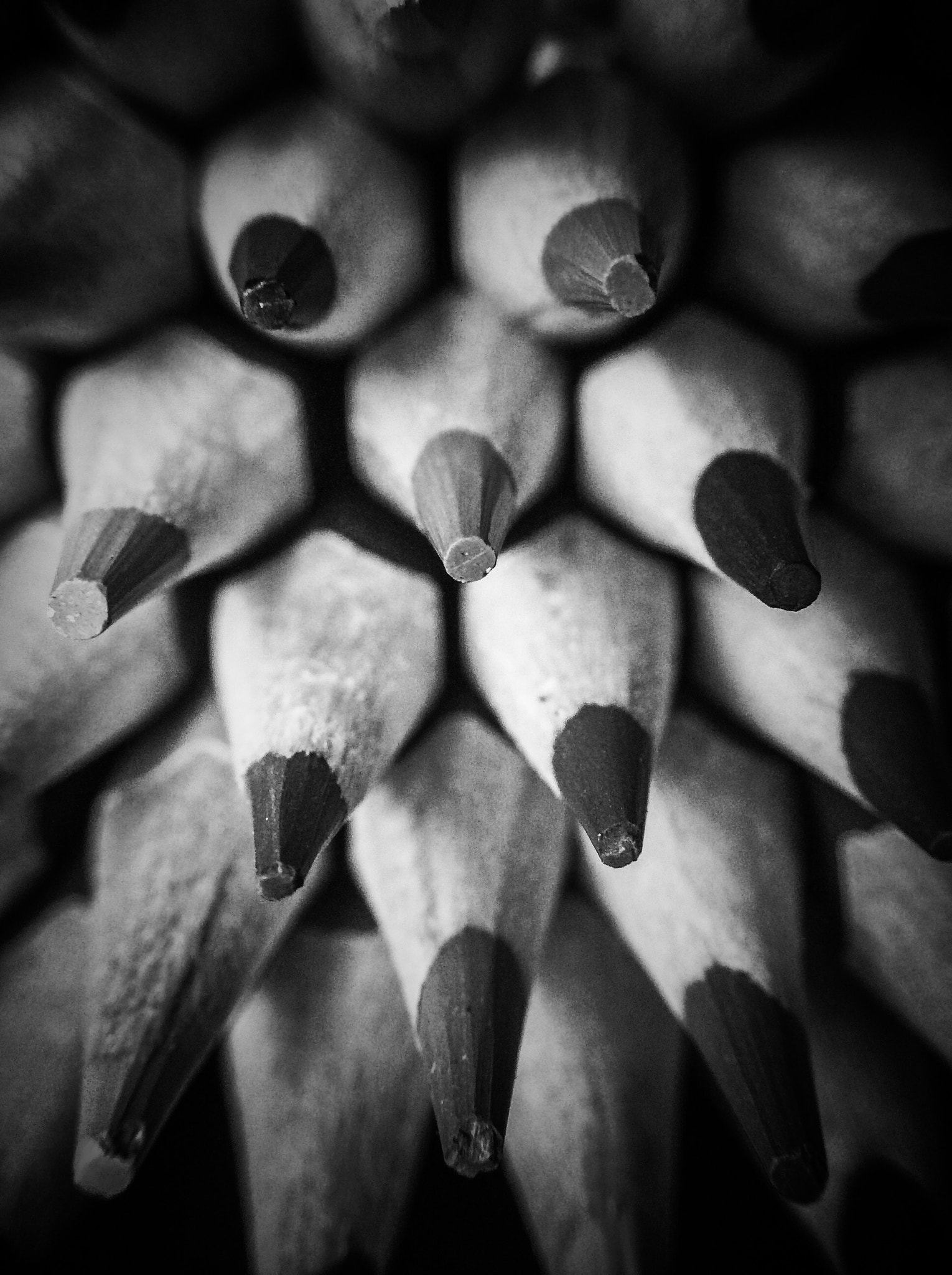 Apple iPad mini 3 sample photo. Pencils iv photography