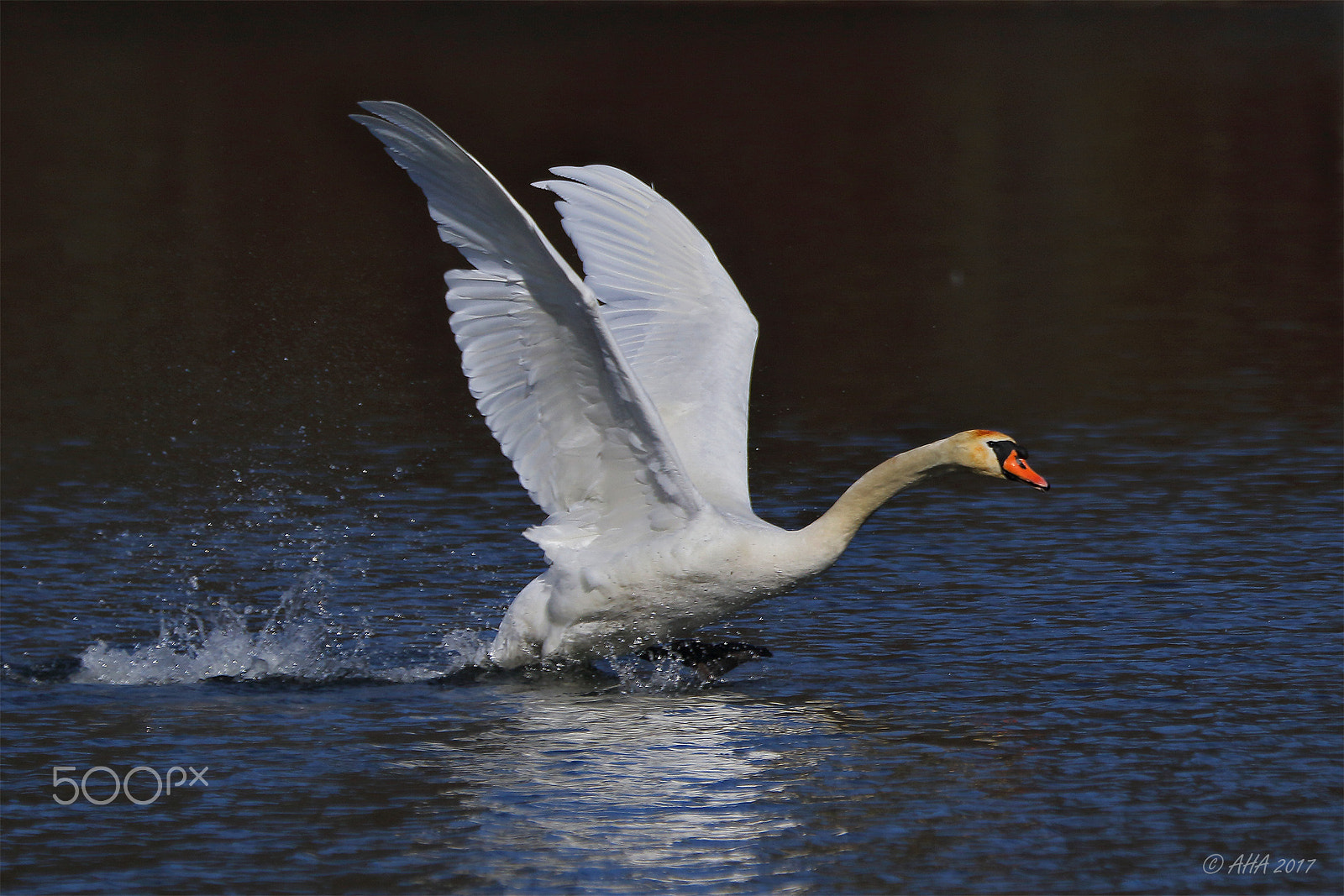 Canon EF 70-200mm F2.8L IS II USM sample photo. Powerful photography