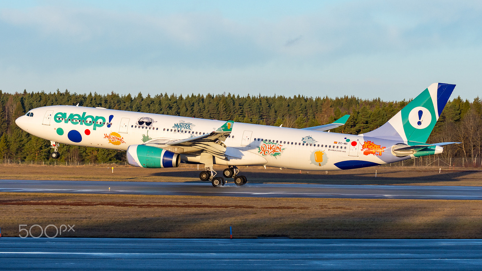 Nikon AF-S Nikkor 70-200mm F4G ED VR sample photo. Evelop airbus a330 landing photography