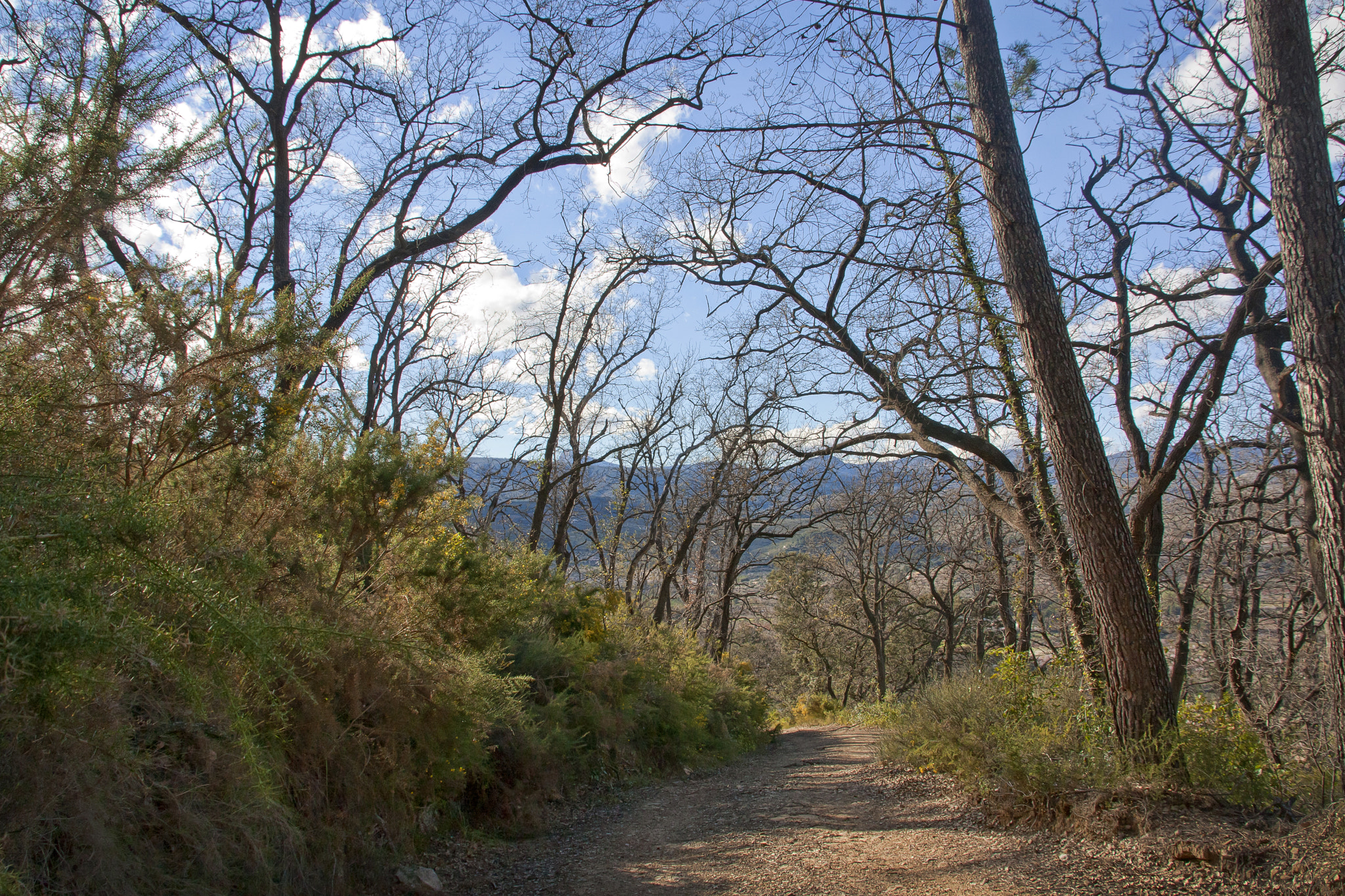 Sigma 18-200mm f/3.5-6.3 DC OS sample photo. Caminos photography