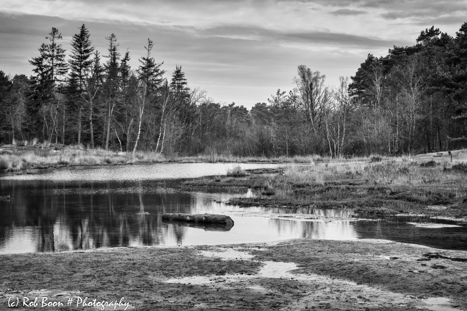 Canon EOS 5DS sample photo. Rode beek, brunssummerheide 2 photography