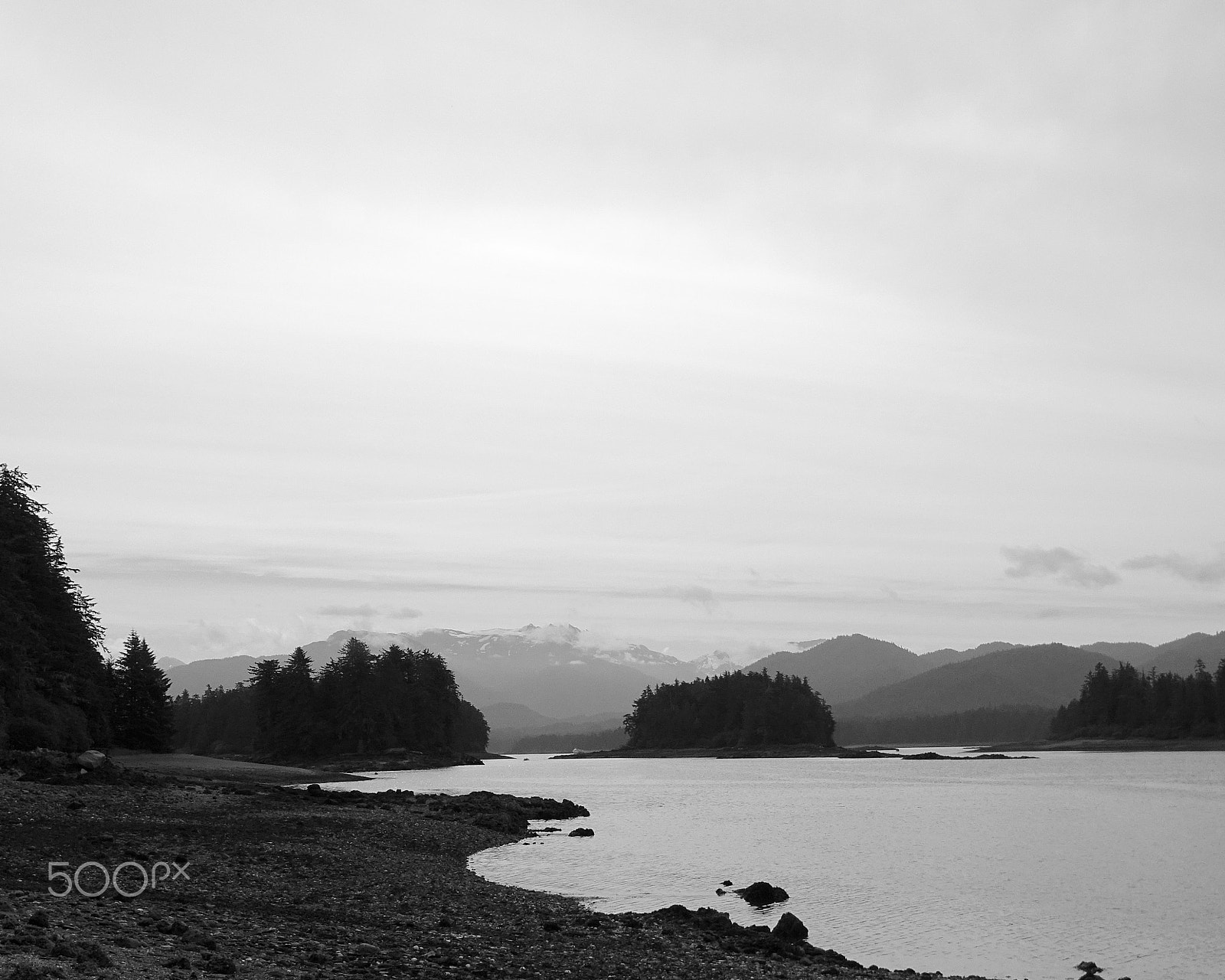 Sony 24-210mm F2.8-6.3 sample photo. Bush whack landing zone - tongass national forest (b/w) photography