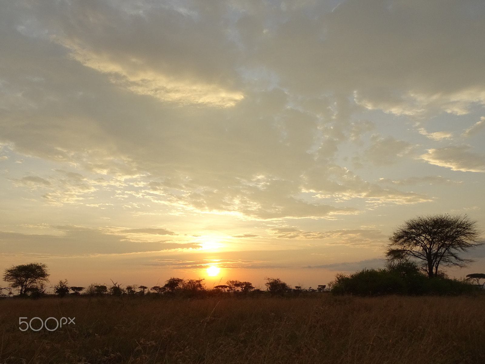 Sony 24-210mm F2.8-6.3 sample photo. Sunset, central serengeti photography
