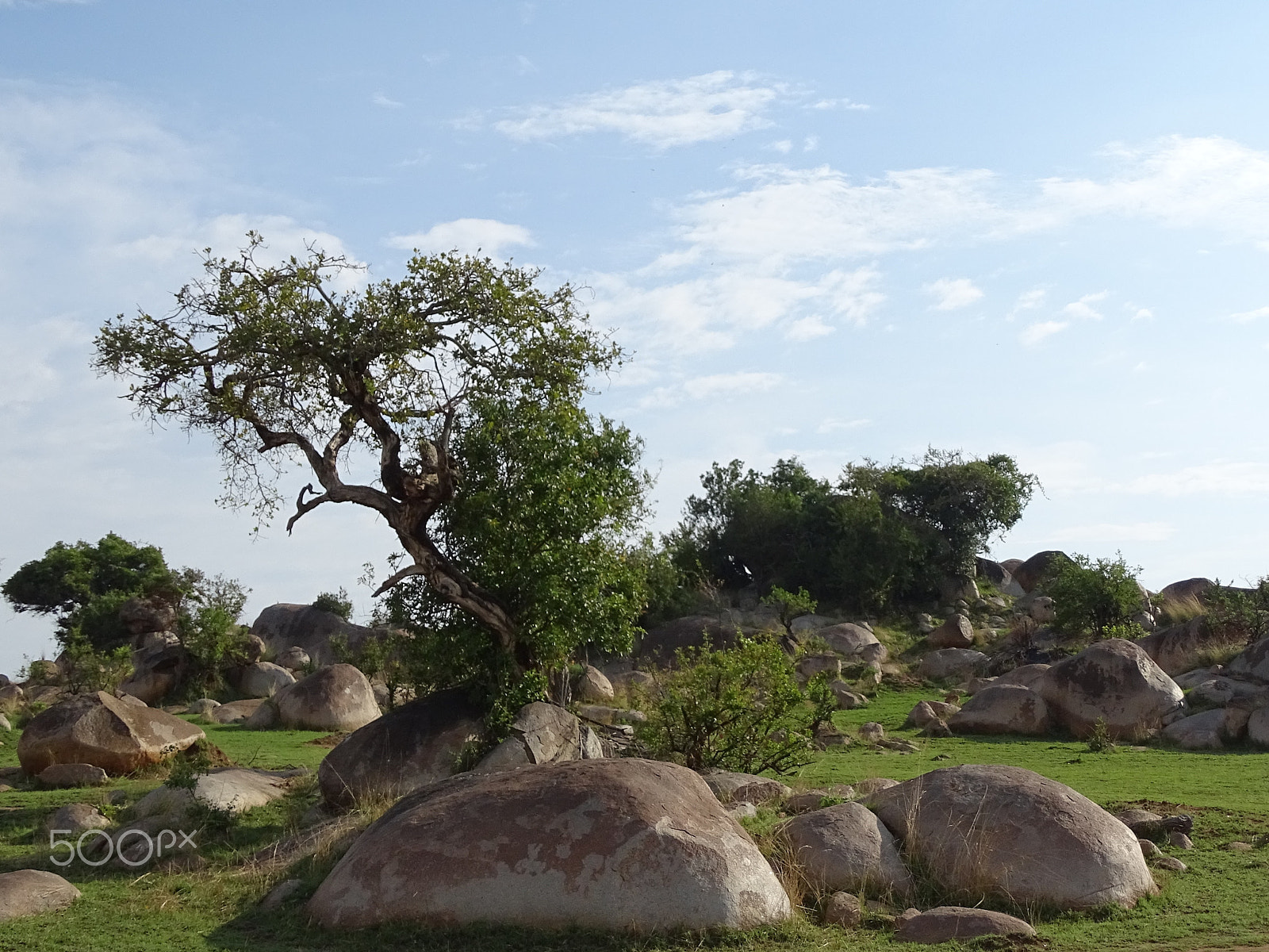 Sony 24-210mm F2.8-6.3 sample photo. Boulders & trees, northern serengeti photography