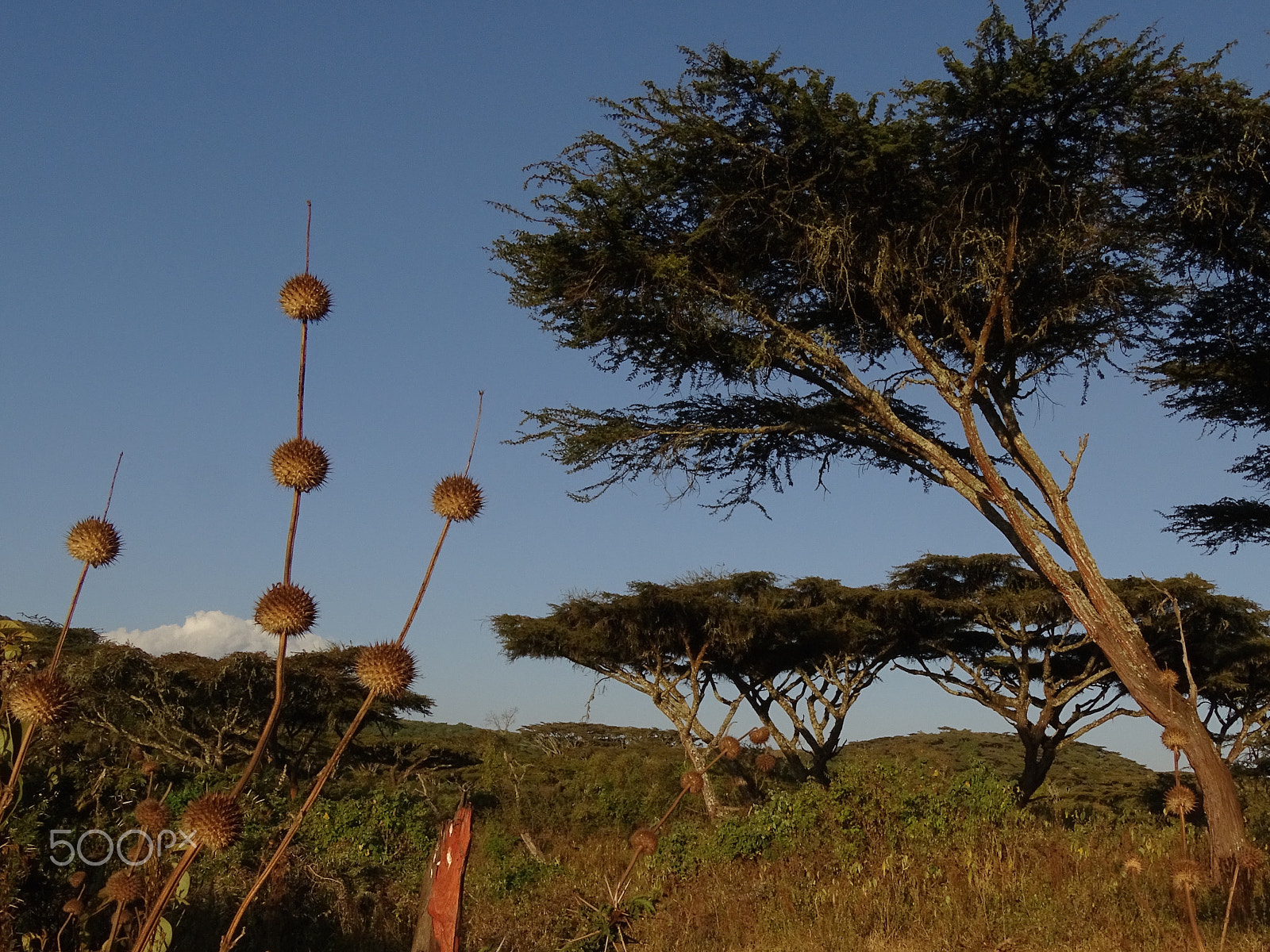 Sony 24-210mm F2.8-6.3 sample photo. Landscape - ngorongoro crater photography