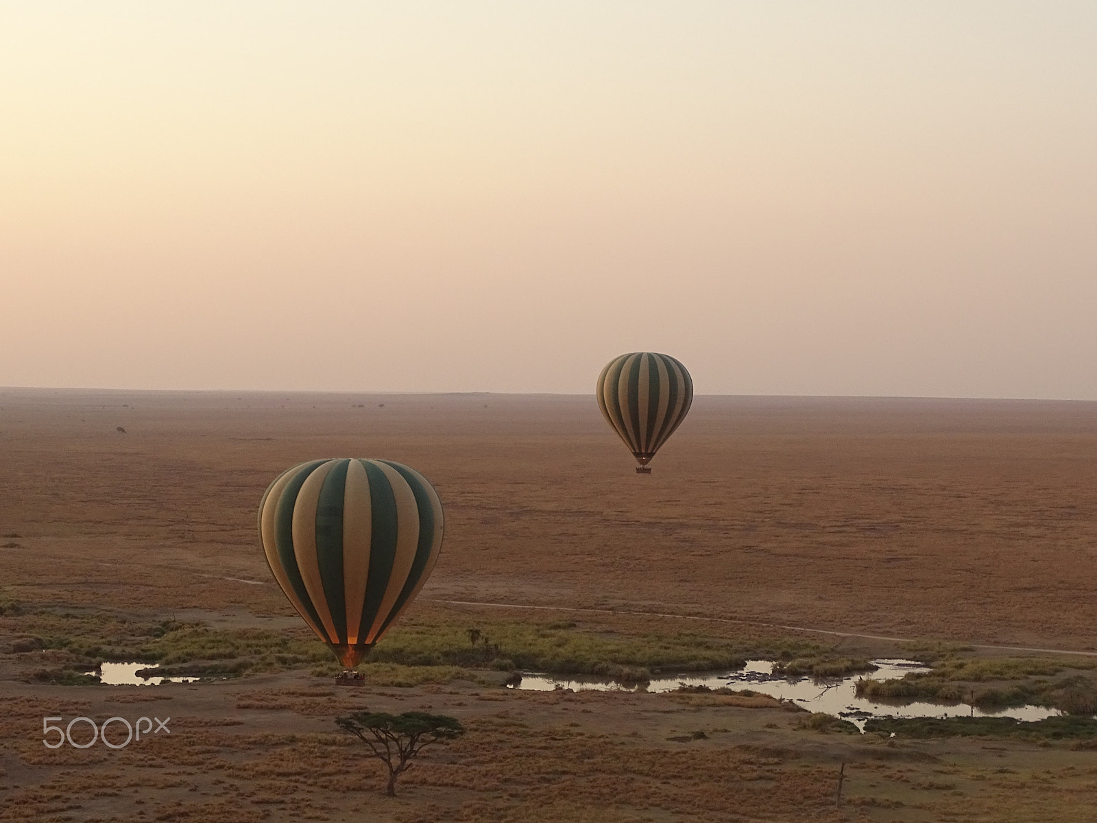 Sony 24-210mm F2.8-6.3 sample photo. Balloon ride over central serengeti photography
