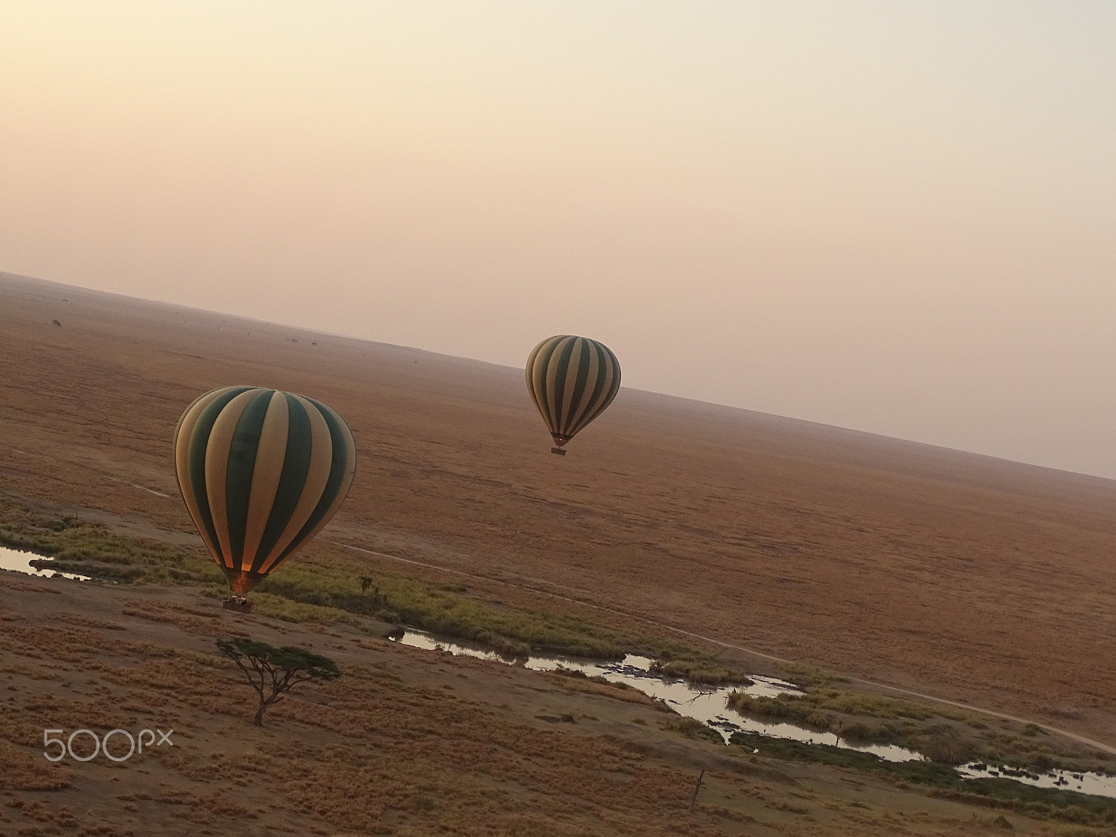Sony 24-210mm F2.8-6.3 sample photo. Morning balloon ride over the central serengeti photography