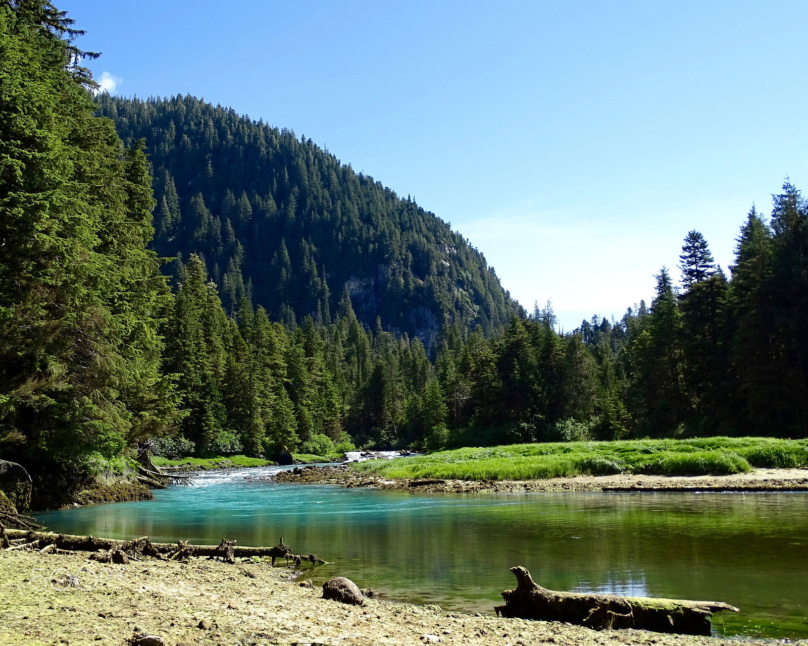 Sony 24-210mm F2.8-6.3 sample photo. River valley & glacial runoff, baranof island photography