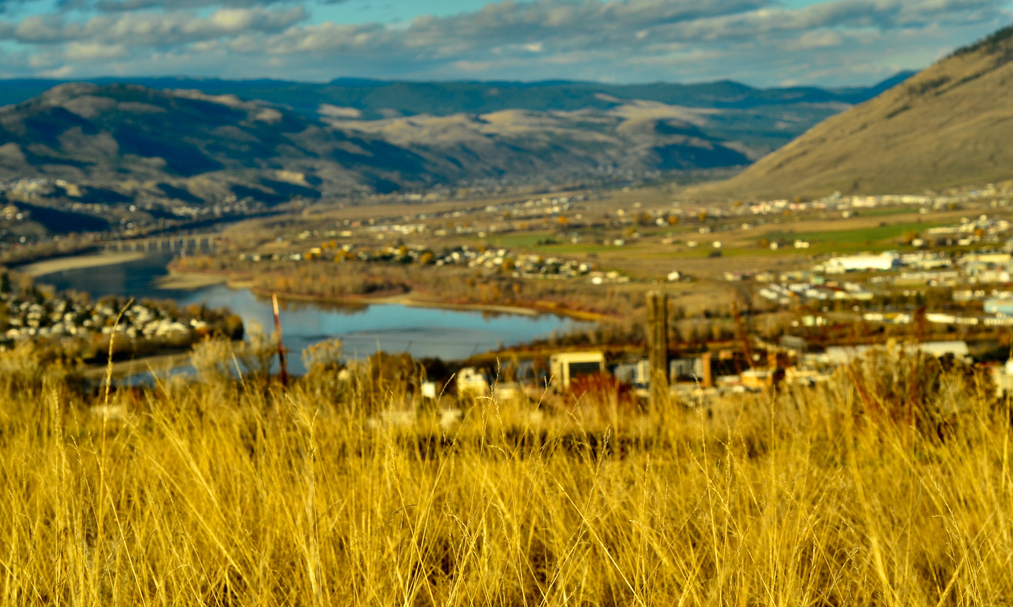 Nikon D7000 + AF Nikkor 50mm f/1.8 sample photo. Grass over kamloops photography