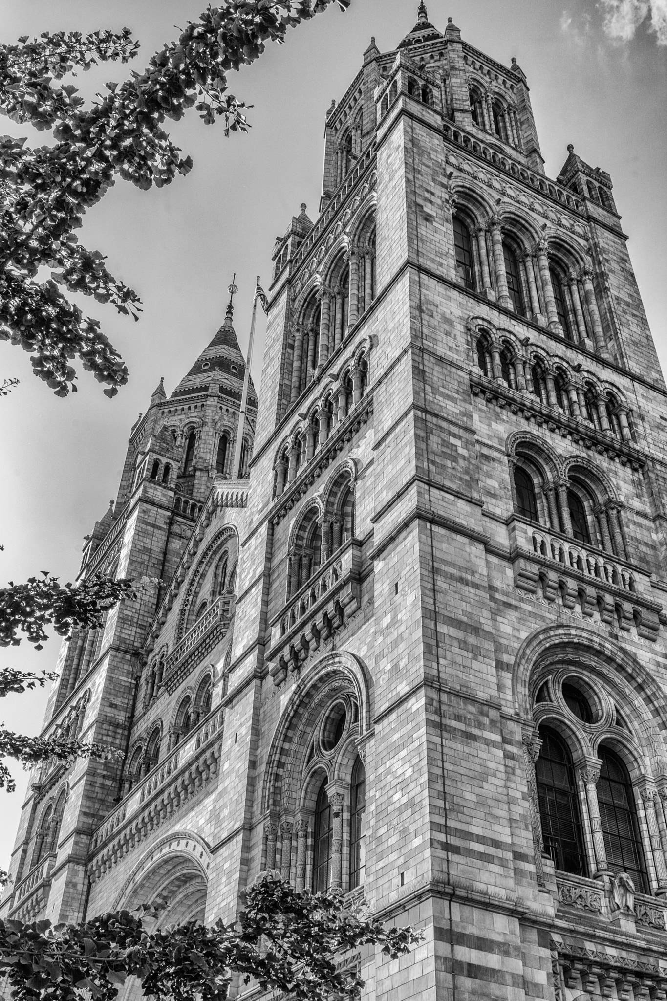 Nikon AF-S Nikkor 24-70mm F2.8G ED sample photo. Museo de historia natural de londres photography
