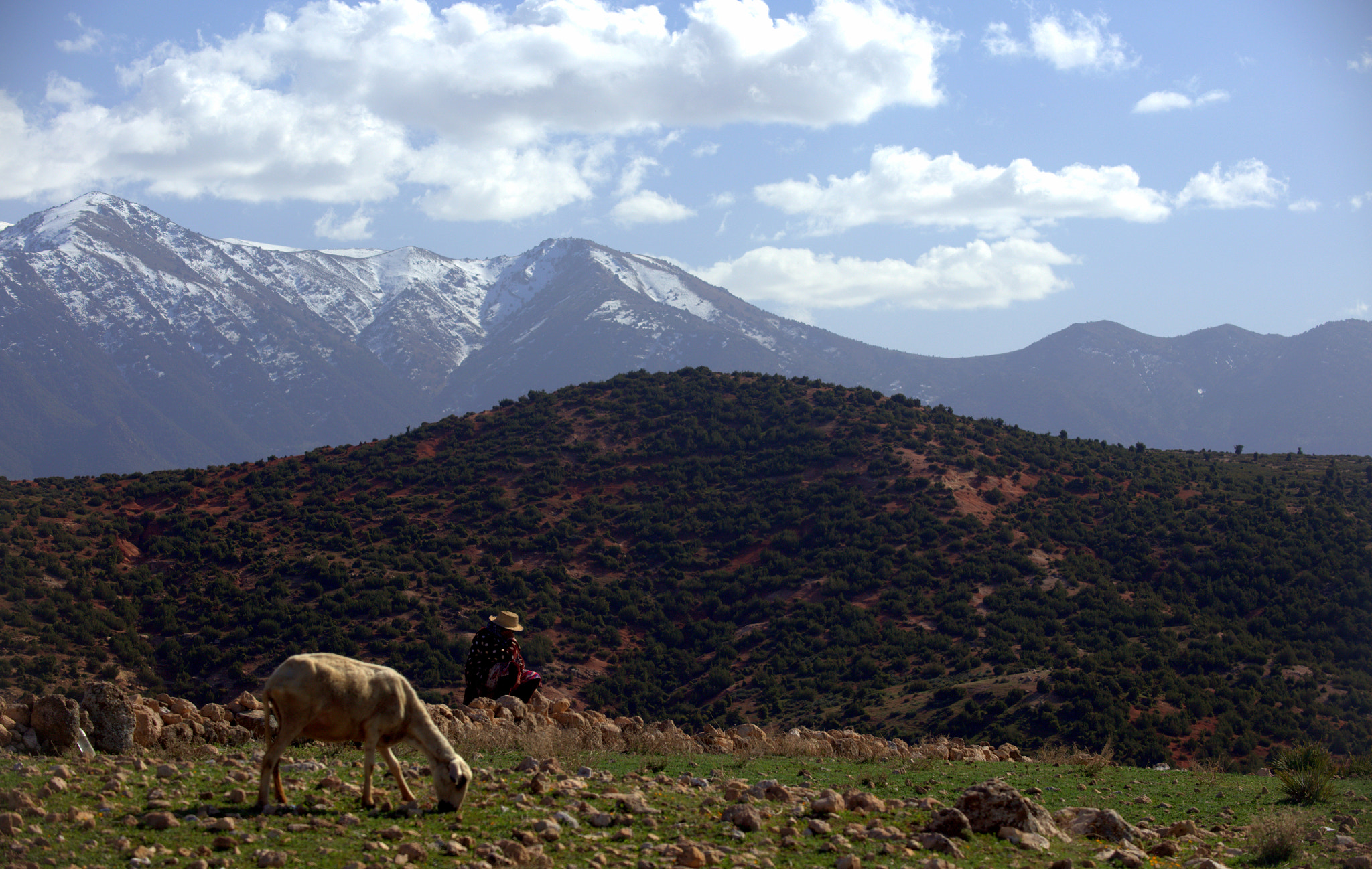 Canon EF 80-200mm f/2.8L sample photo. In the atlas photography