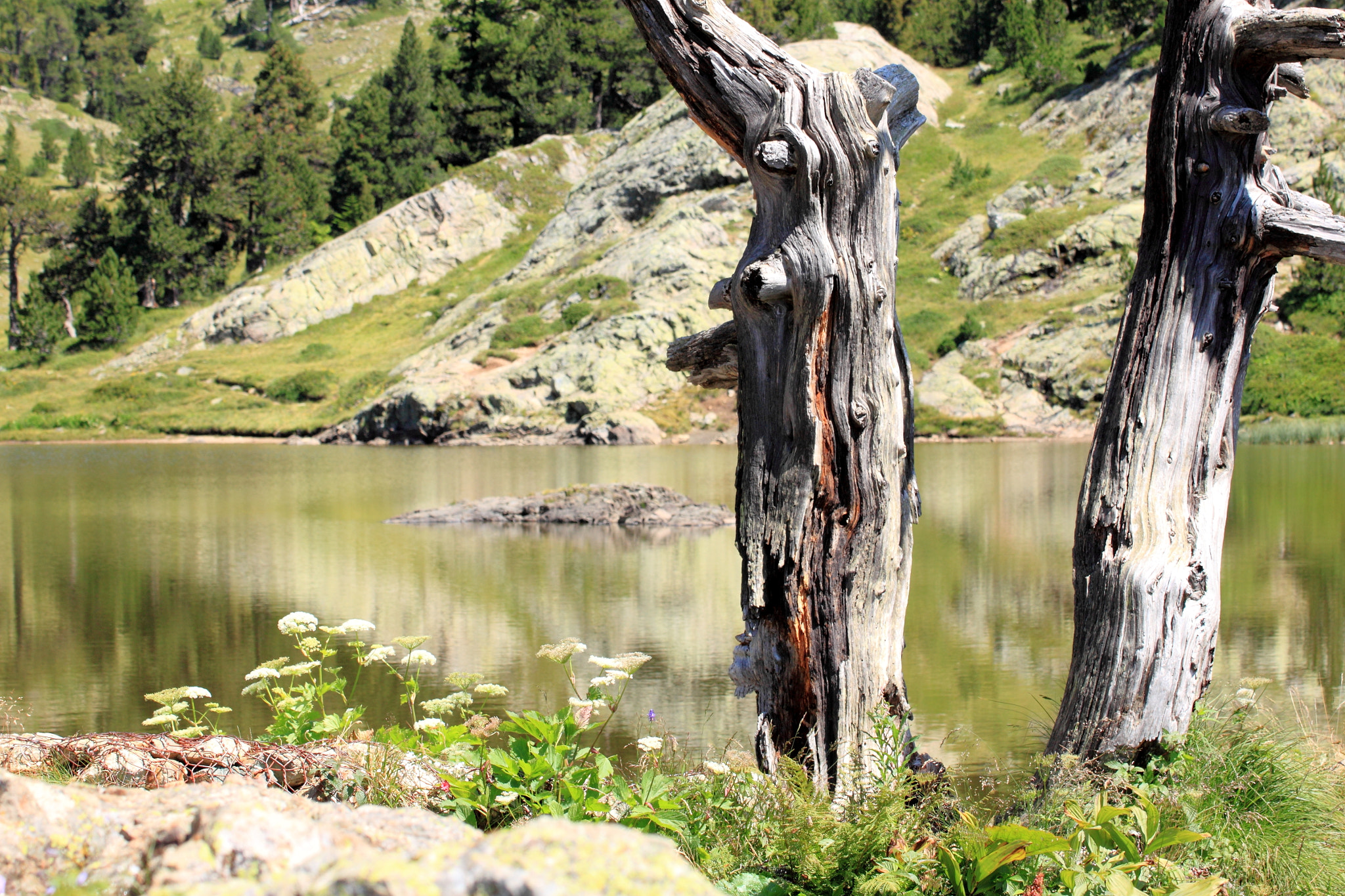 Tamron SP 35mm F1.8 Di VC USD sample photo. Le lac photography