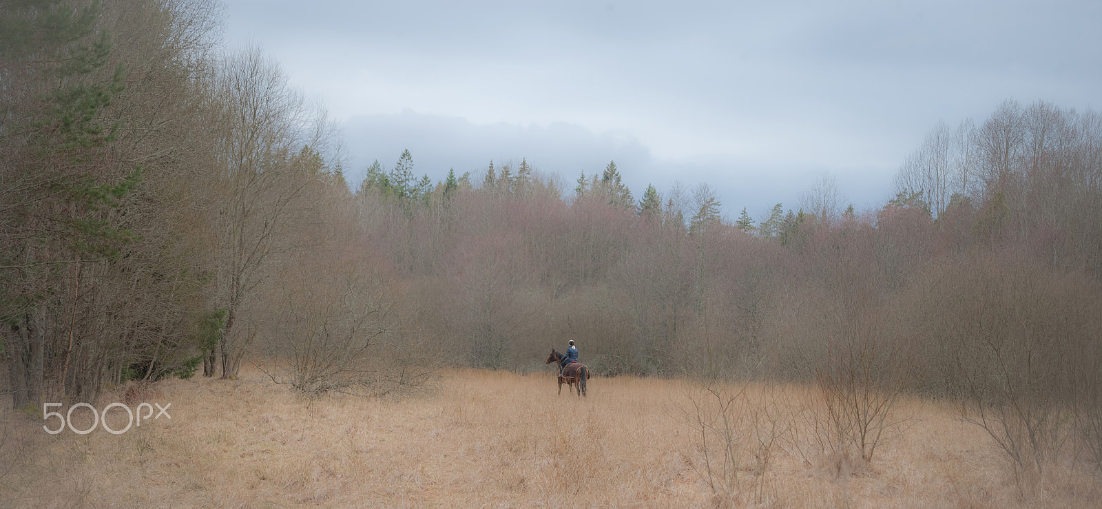 Canon EF 28-80mm f/2.8-4L sample photo. Early spring photography
