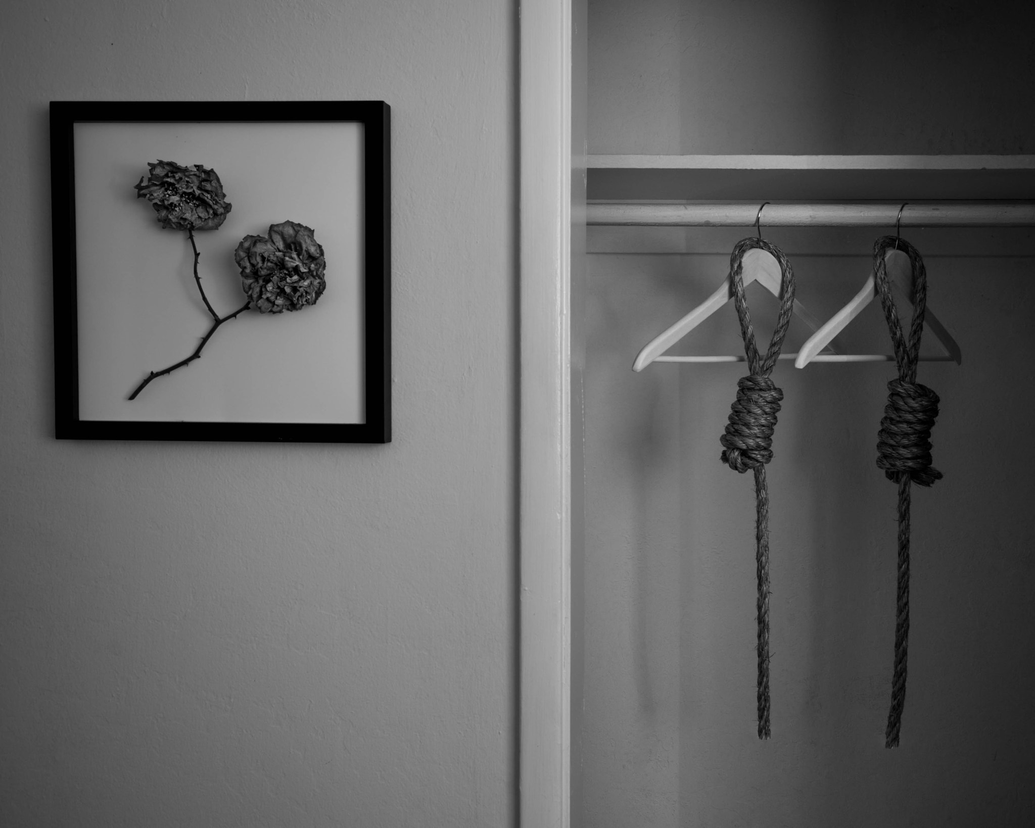 Pentax K-01 sample photo. Dead flowers. photography