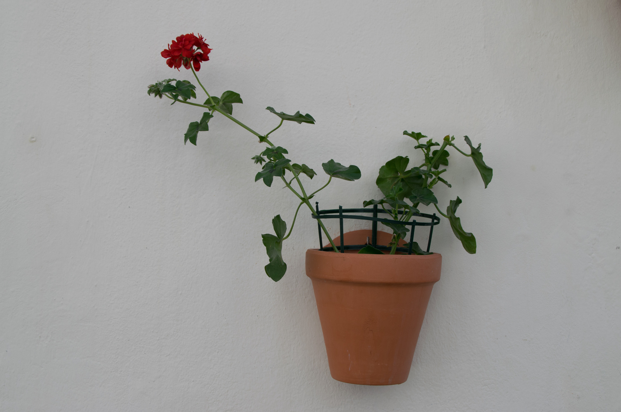 Sigma 28-300mm F3.5-6.3 DG Macro sample photo. Sur photography