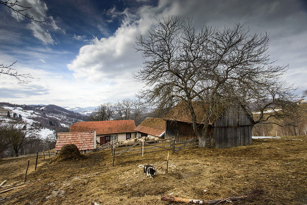 Nikon AF-S Nikkor 17-35mm F2.8D ED-IF sample photo. Ro photography