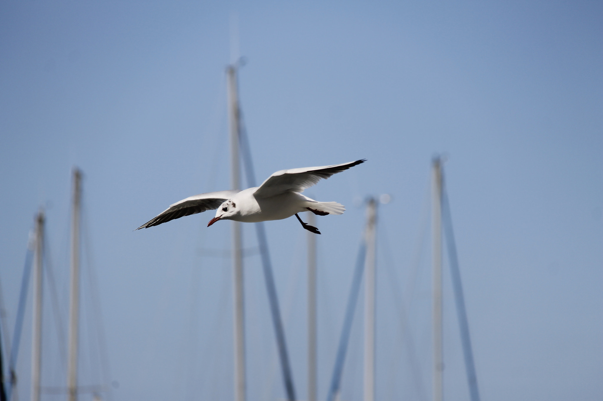 Canon EF-S 18-200mm F3.5-5.6 IS sample photo. A day by the sea with a lot of sun photography