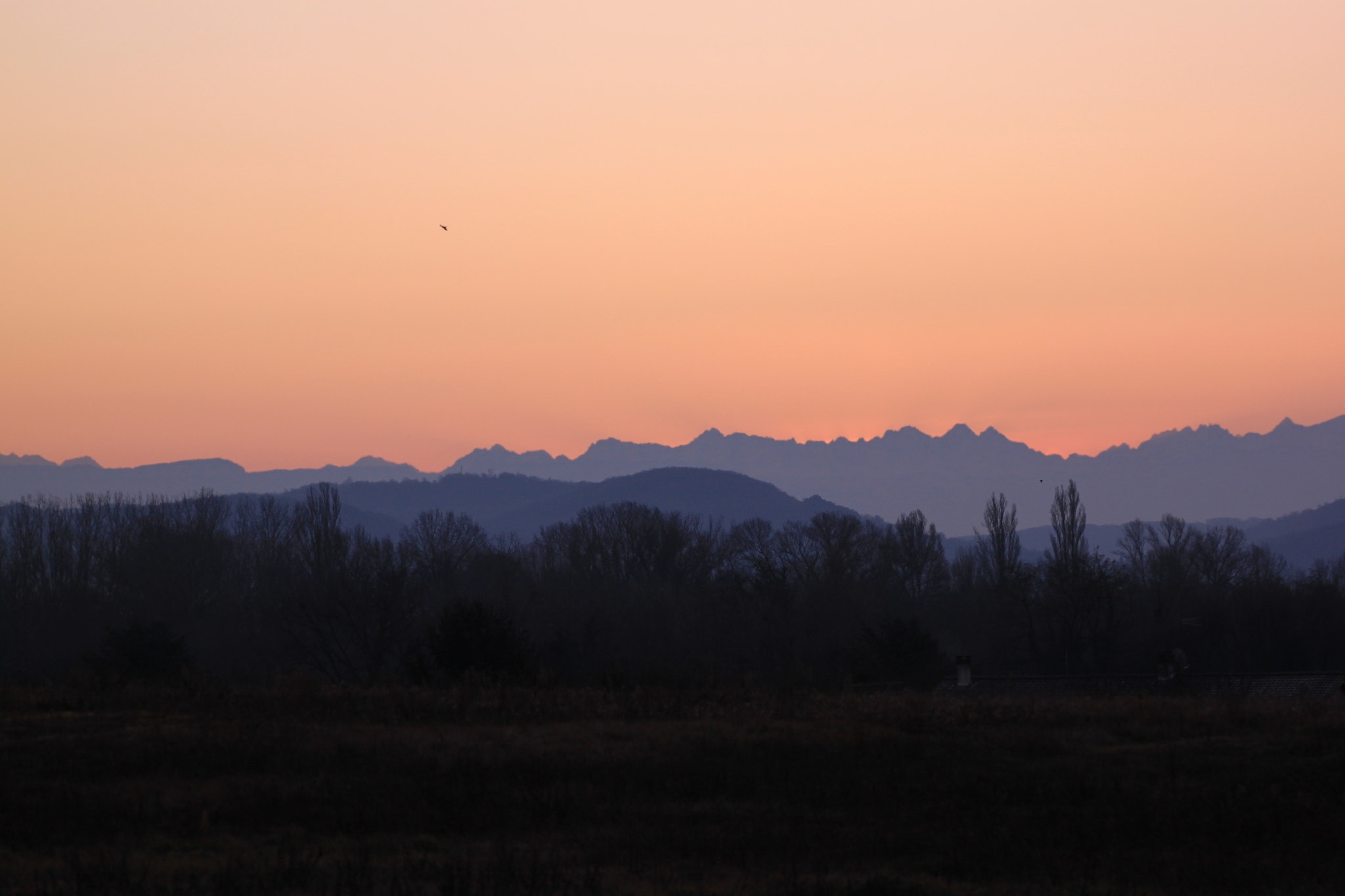 Canon EOS 500D (EOS Rebel T1i / EOS Kiss X3) sample photo. Soleil levant sur les alpes photography