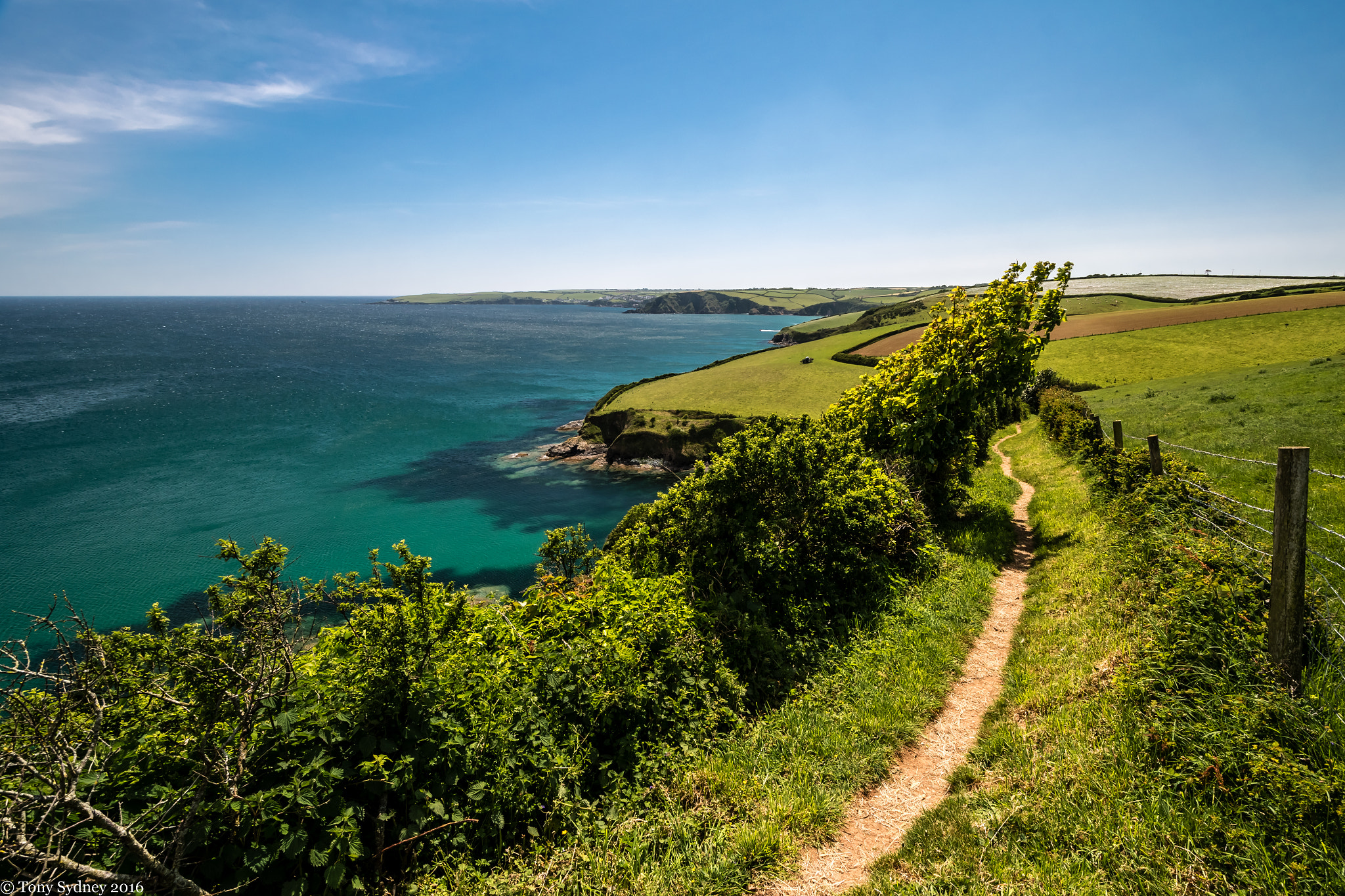 Nikon D5500 sample photo. Coast path photography