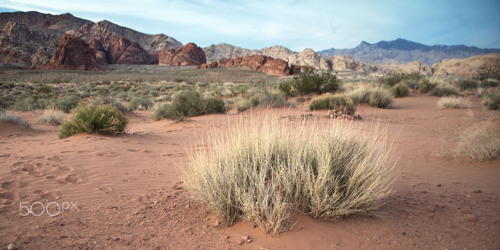 AF Zoom-Nikkor 28-105mm f/3.5-4.5D IF sample photo. Gold butte photography