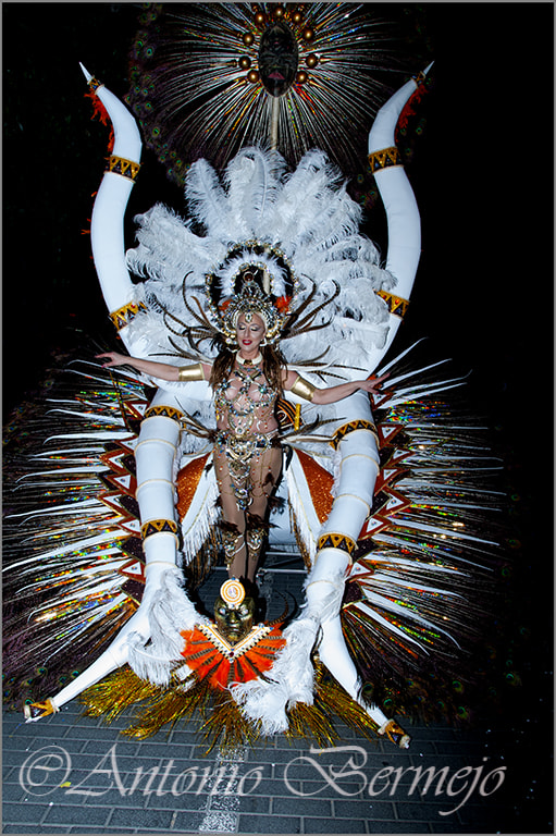 Sigma 18-200mm F3.5-6.3 DC OS HSM sample photo. Carnavl photography
