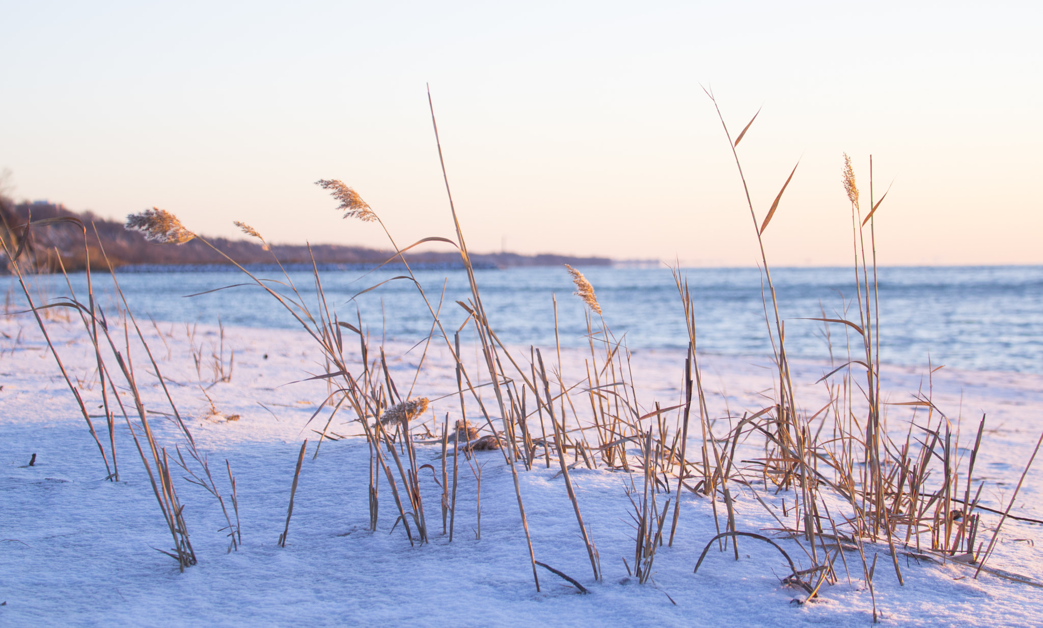 Sigma 50-500mm F4.5-6.3 DG OS HSM sample photo. Winter on bluffer's beach photography