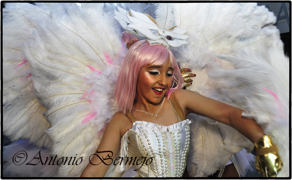 Sigma 18-200mm F3.5-6.3 DC OS HSM sample photo. Carnaval photography