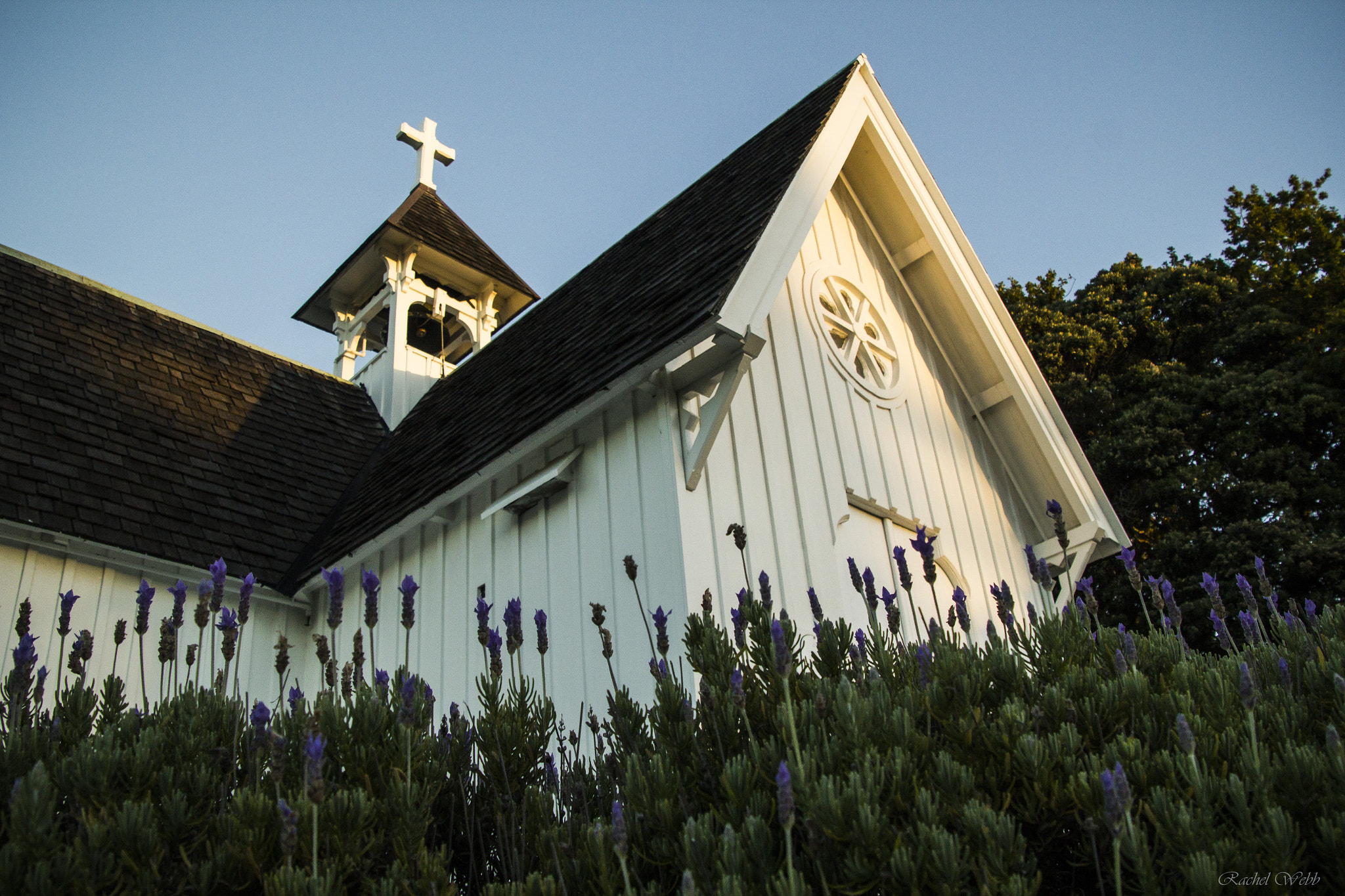 Canon EOS 550D (EOS Rebel T2i / EOS Kiss X4) sample photo. Lavender church  photography