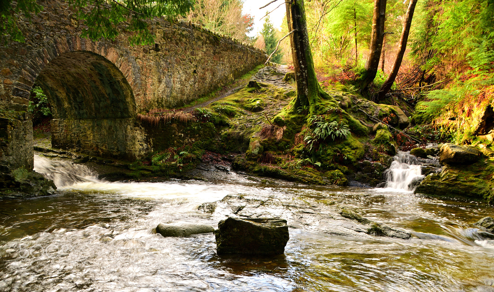Nikon D5300 + Sigma 18-250mm F3.5-6.3 DC OS HSM sample photo. Game of thrones: tollymore forest park photography