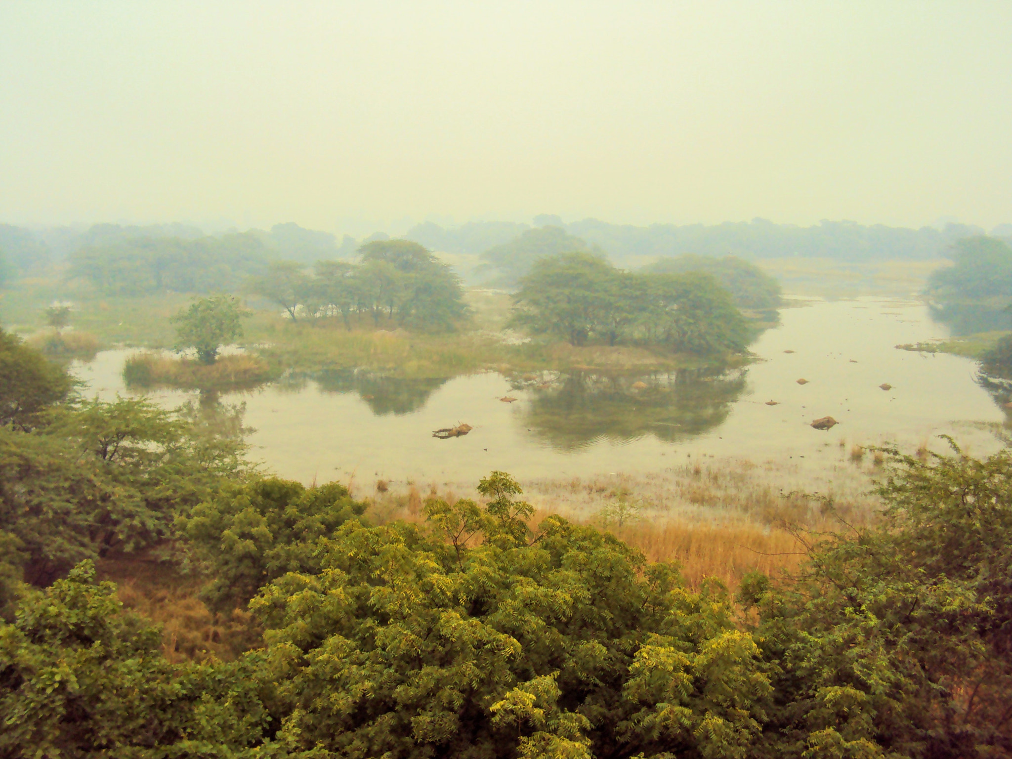 Sony DSC-W180 sample photo. Wet lands waiting for birds photography