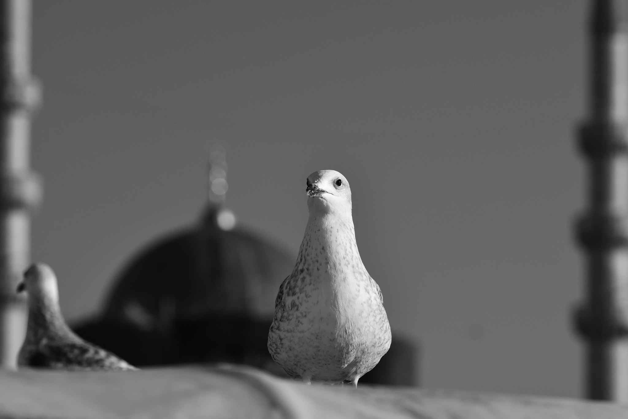Nikon AF-S Nikkor 70-200mm F4G ED VR sample photo. Between minarets photography