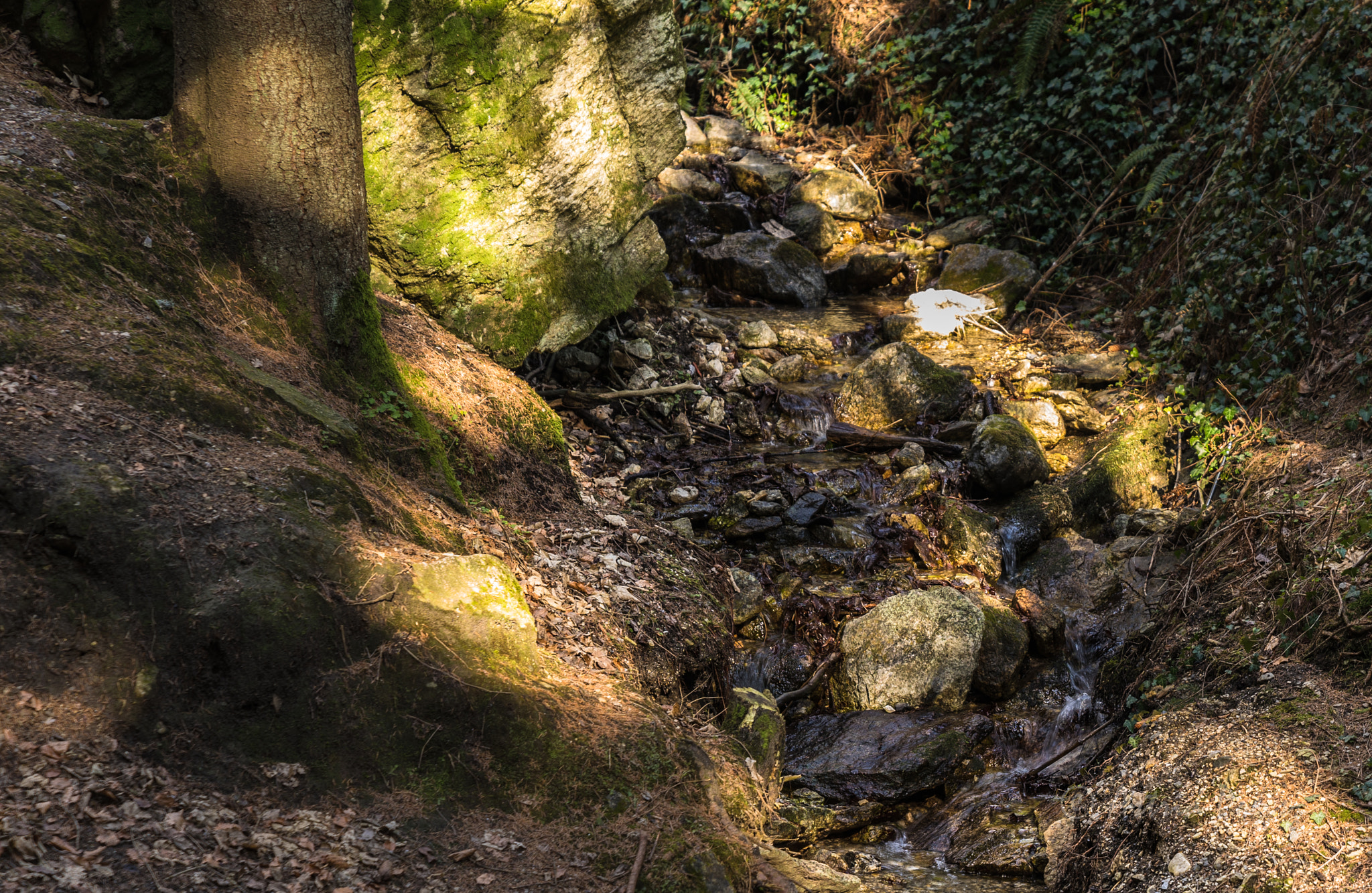 Sony a7 II + Sony FE 24-70mm F2.8 GM sample photo. Streaks of sun photography