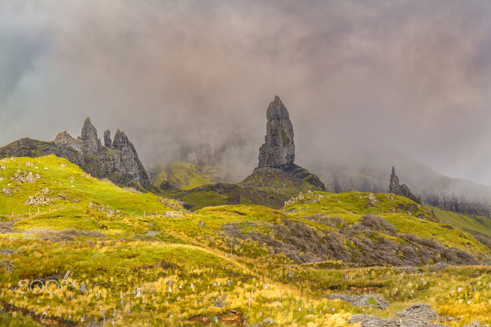 Canon EF 24-70mm F4L IS USM sample photo. The man in the mist photography