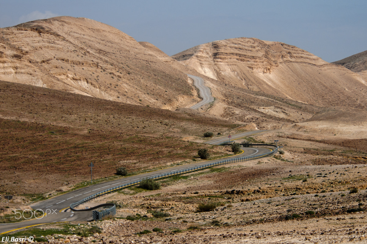Nikon D300S sample photo. The road photography