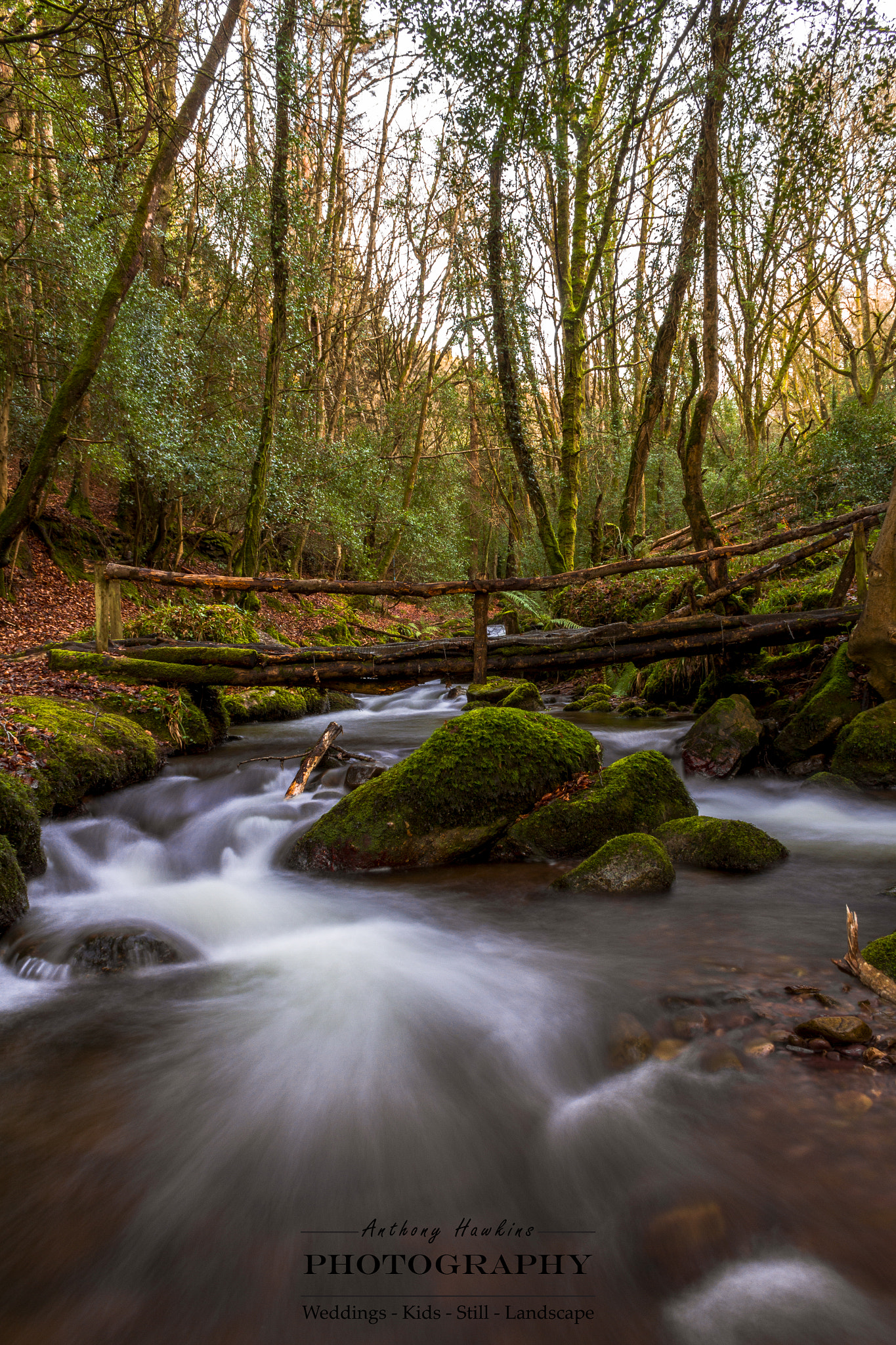 Canon EF-S 18-55mm F3.5-5.6 II sample photo. Bridge in the forest photography