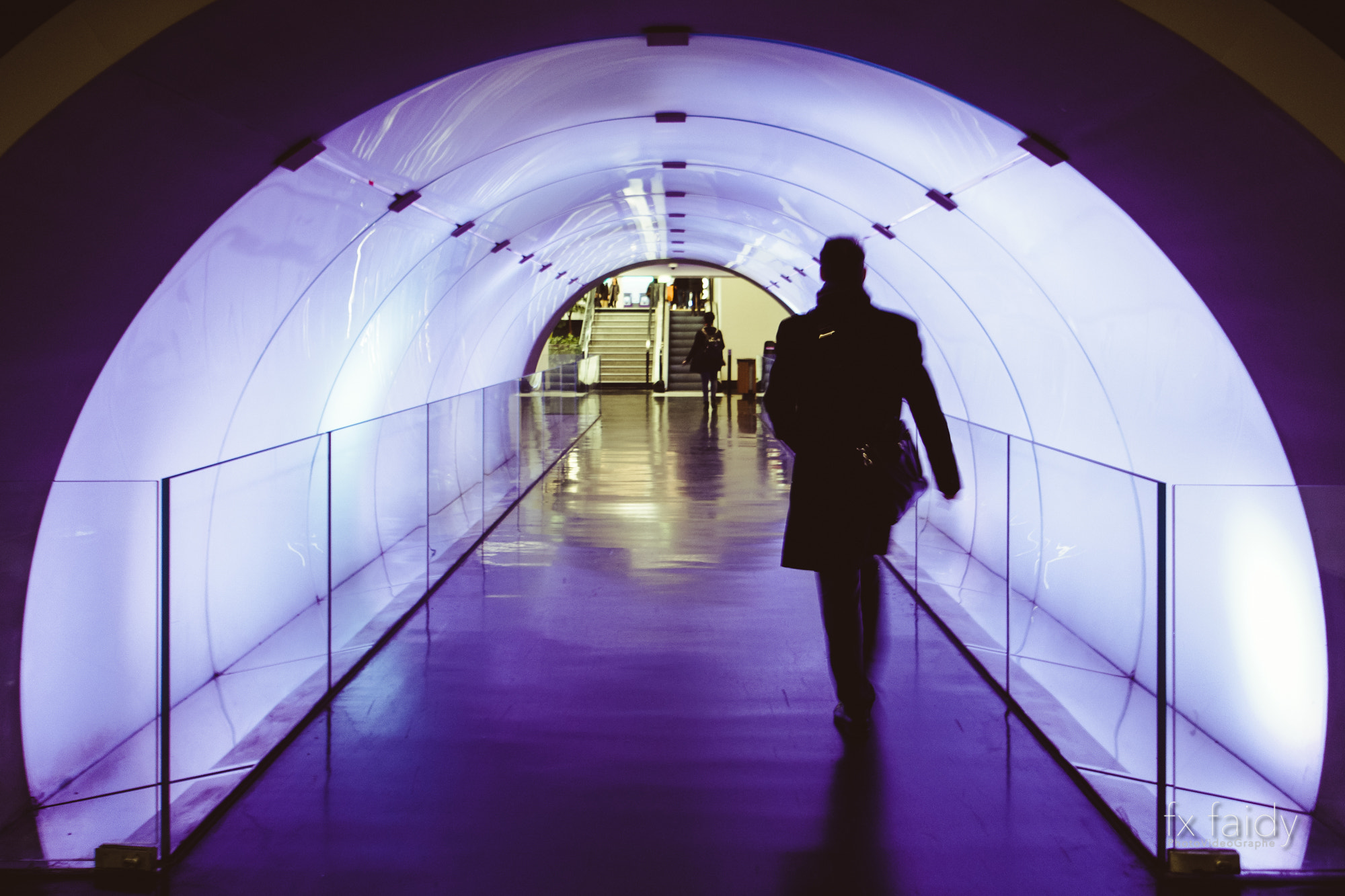 Sony E 16mm F2.8 sample photo. Tunnel rose photography