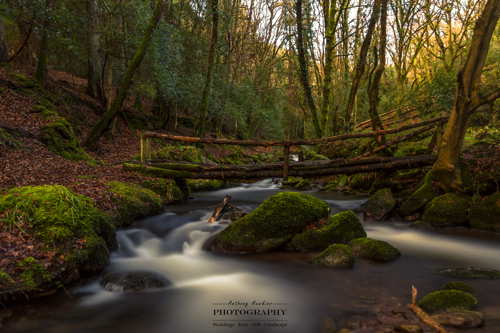 Canon EF-S 18-55mm F3.5-5.6 II sample photo. Bridge in the forest photography