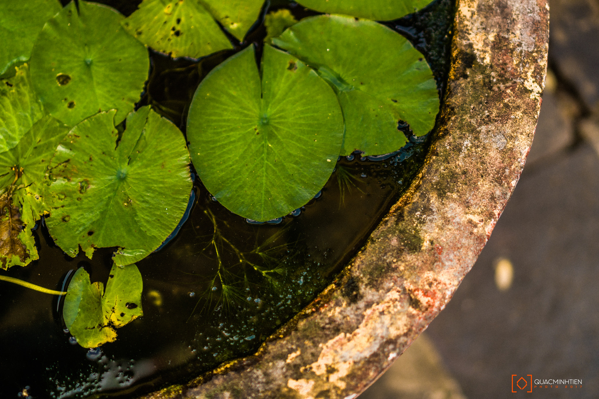 Sony E 35mm F1.8 OSS sample photo. Hoi an () photography