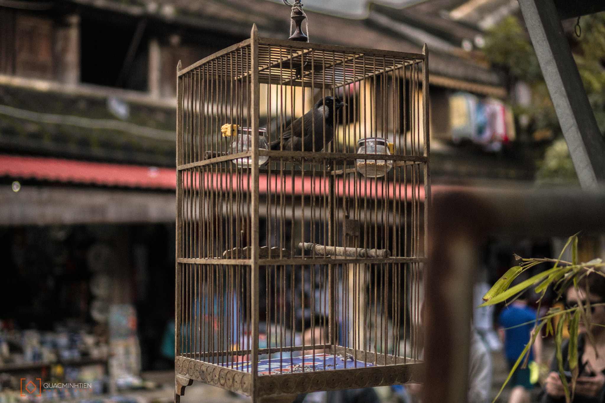 Sony E 35mm F1.8 OSS sample photo. Hoi an () photography